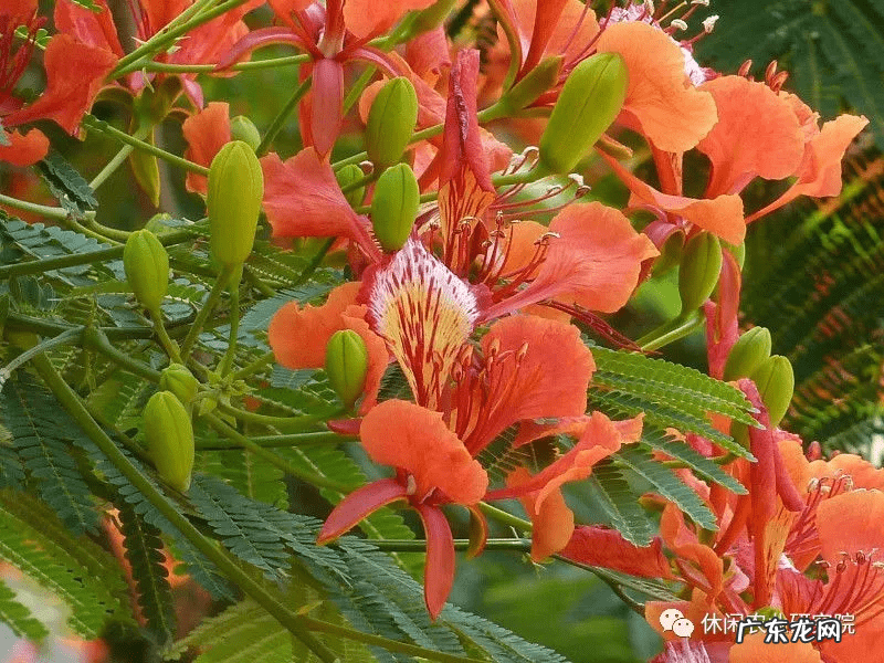 感觉我的这个农场风水很好