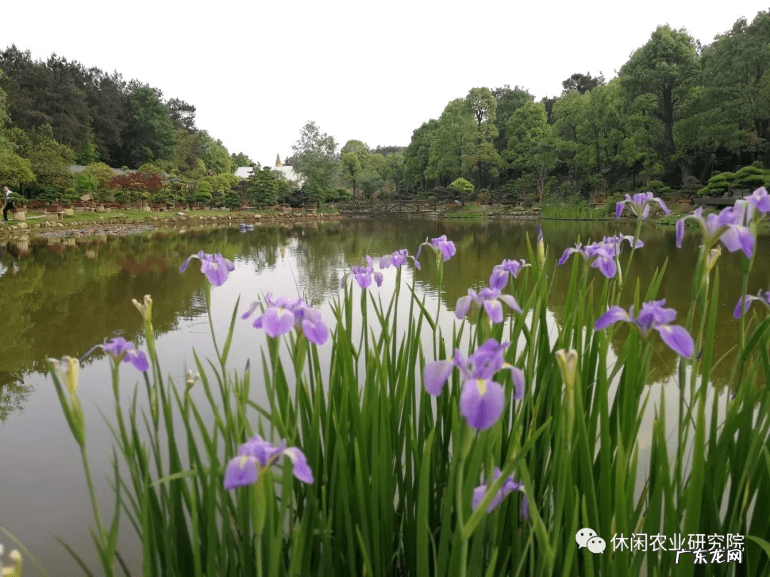 感觉我的这个农场风水很好