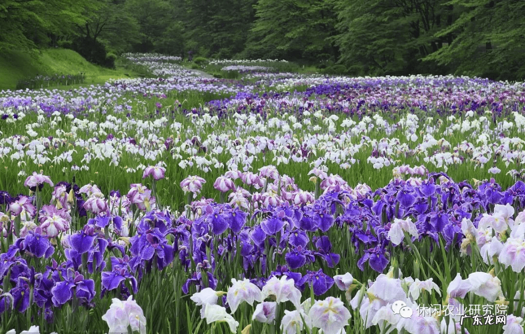 感觉我的这个农场风水很好