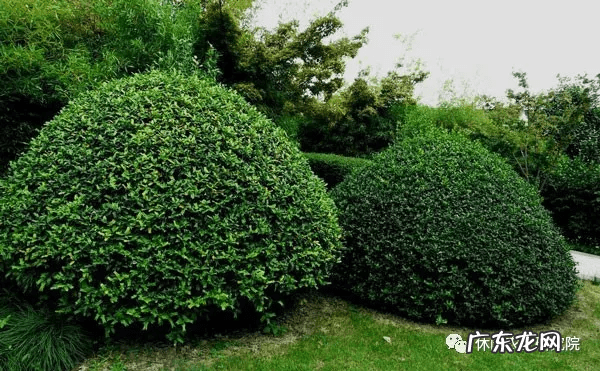 感觉我的这个农场风水很好