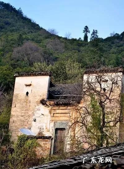 白花岭风水 戴氏白花岭风水