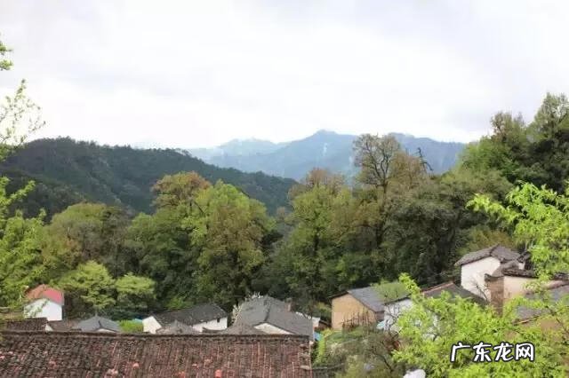 白花岭风水 戴氏白花岭风水