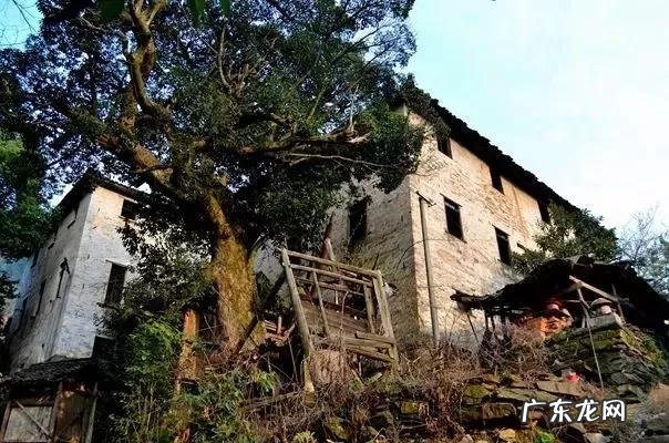 白花岭风水 戴氏白花岭风水