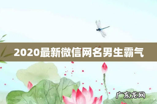 2020最新微信网名男生霸气