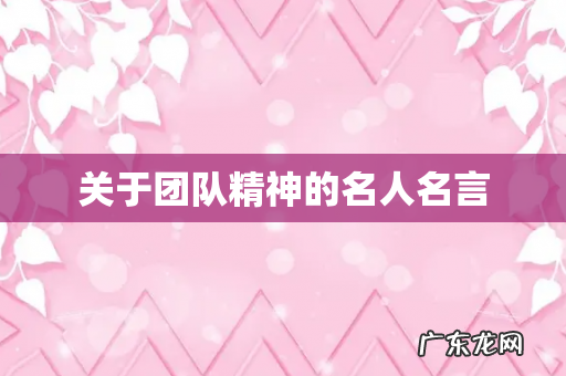 关于团队精神的名人名言