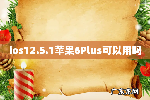 ios12.5.1苹果6Plus可以用吗