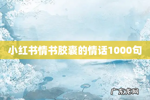 小红书情书胶囊的情话1000句