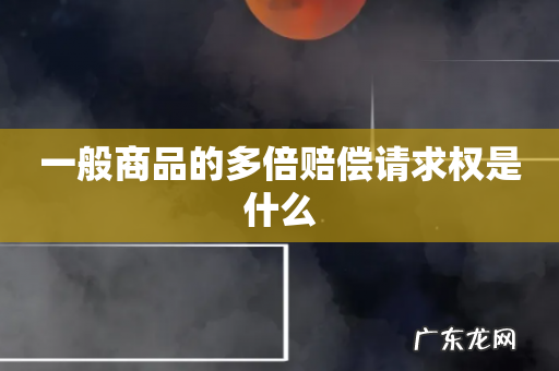 一般商品的多倍赔偿请求权是什么