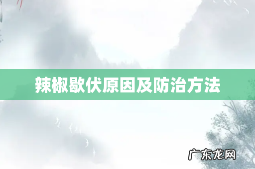 辣椒歇伏原因及防治方法