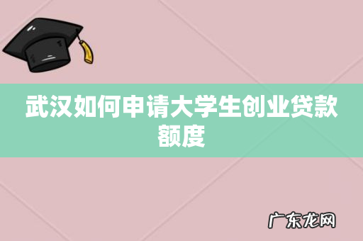 武汉如何申请大学生创业贷款额度