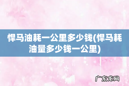 悍马耗油量多少钱一公里 悍马油耗一公里多少钱