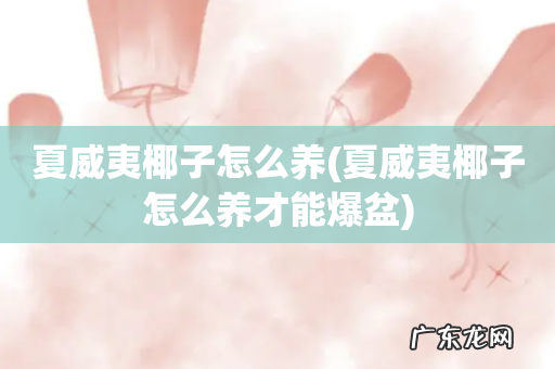 夏威夷椰子怎么养才能爆盆 夏威夷椰子怎么养