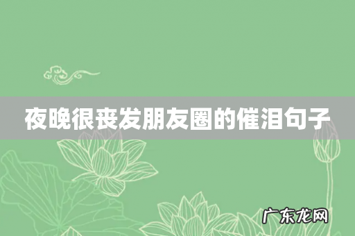 夜晚很丧发朋友圈的催泪句子