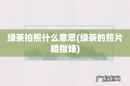 绿茶的照片暗指婊 绿茶拍照什么意思