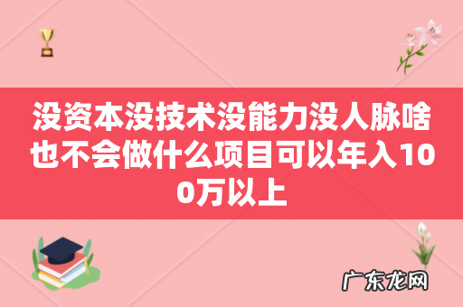 没资本没技术没能力没人脉啥也不会做什么项目可以年入100万以上
