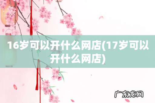 17岁可以开什么网店 16岁可以开什么网店