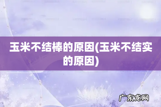 玉米不结实的原因 玉米不结棒的原因