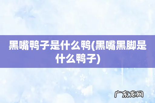 黑嘴黑脚是什么鸭子 黑嘴鸭子是什么鸭