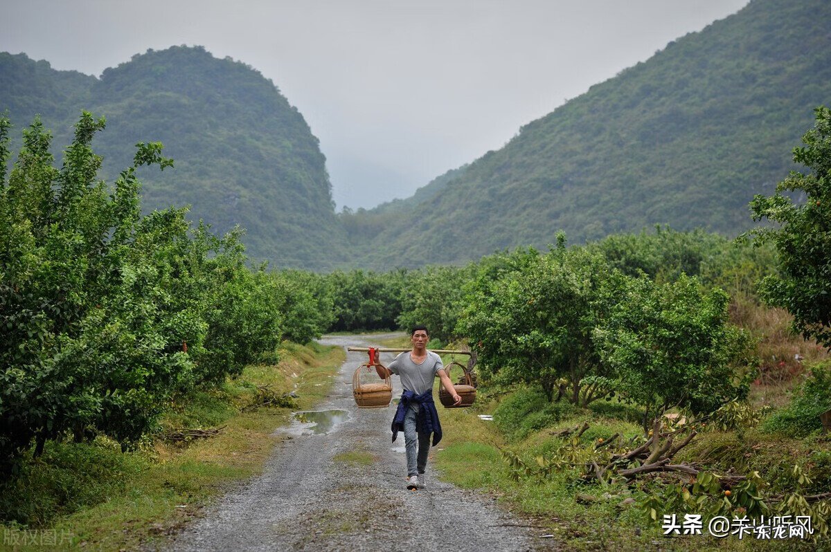农村房子住南屋好不好 南方小屋连主屋风水如何