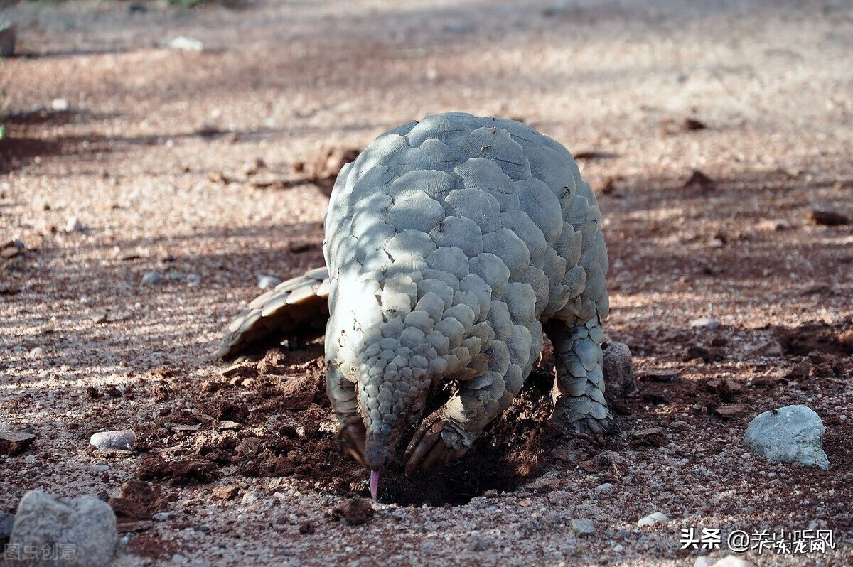 农村房子住南屋好不好 南方小屋连主屋风水如何