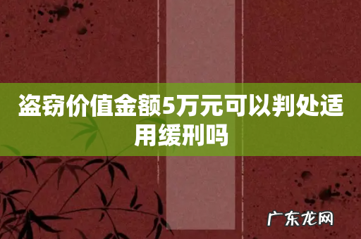 盗窃价值金额5万元可以判处适用缓刑吗