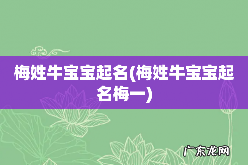 梅姓牛宝宝起名梅一 梅姓牛宝宝起名