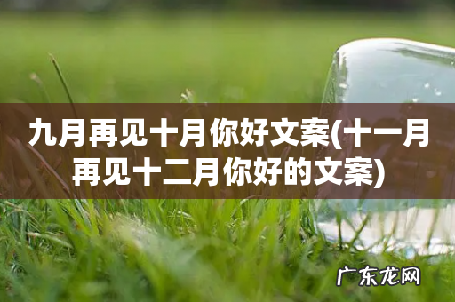 十一月再见十二月你好的文案 九月再见十月你好文案