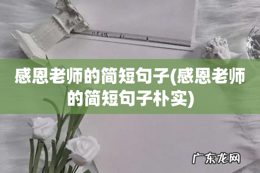 感恩老师的简短句子朴实 感恩老师的简短句子