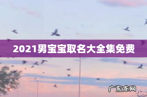 2021男宝宝取名大全集免费