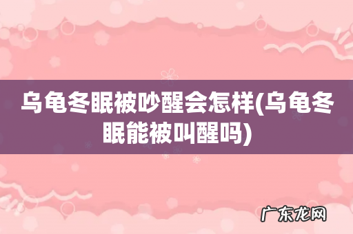 乌龟冬眠能被叫醒吗 乌龟冬眠被吵醒会怎样