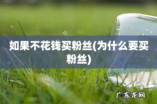 为什么要买粉丝 如果不花钱买粉丝