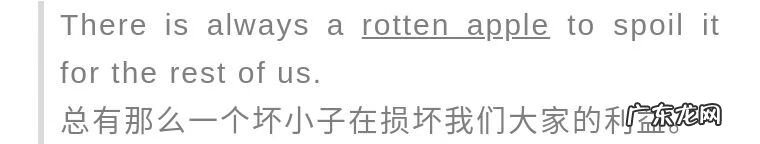 菠萝和凤梨有什么区别 菠萝和凤梨的区别?