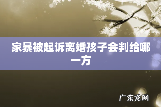 家暴被起诉离婚孩子会判给哪一方