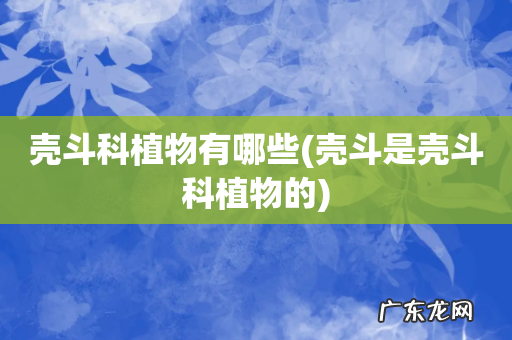 壳斗是壳斗科植物的 壳斗科植物有哪些