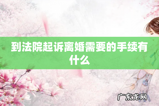 到法院起诉离婚需要的手续有什么