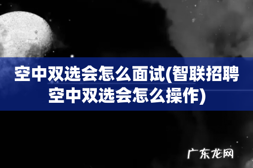 智联招聘空中双选会怎么操作 空中双选会怎么面试