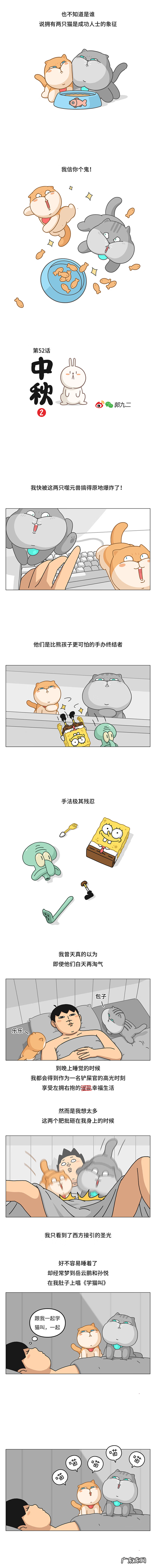 朋友圈晒猫的男人 朋友圈晒猫的人