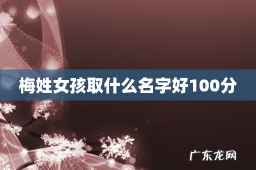 梅姓女孩取什么名字好100分