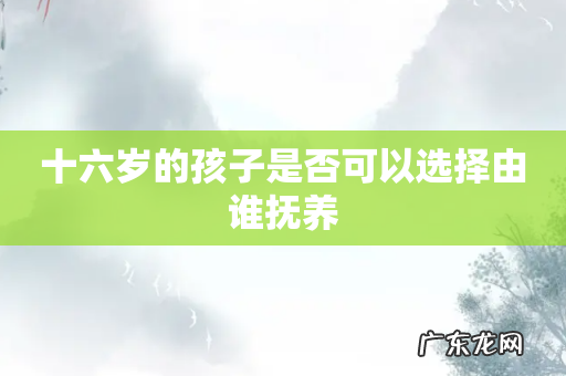 十六岁的孩子是否可以选择由谁抚养