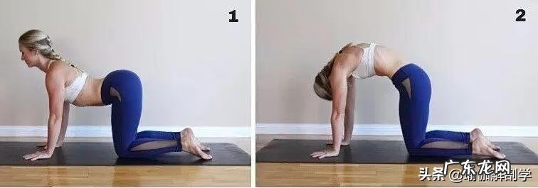 怎么才能下腰 怎么下腰最简单