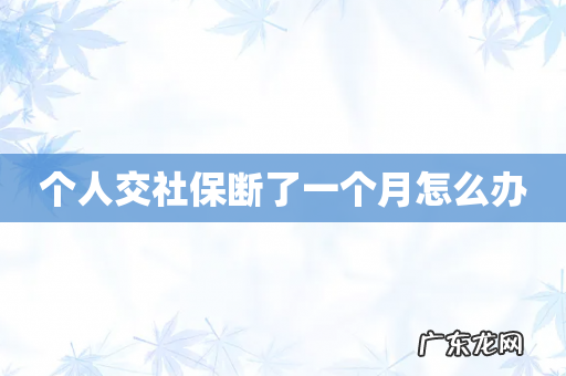 个人交社保断了一个月怎么办