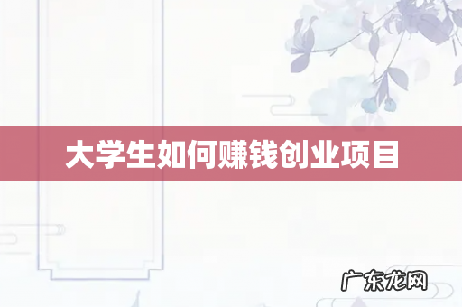 大学生如何赚钱创业项目