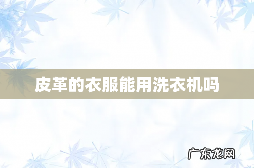 皮革的衣服能用洗衣机吗