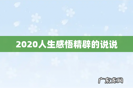 2020人生感悟精辟的说说