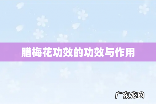 腊梅花功效的功效与作用