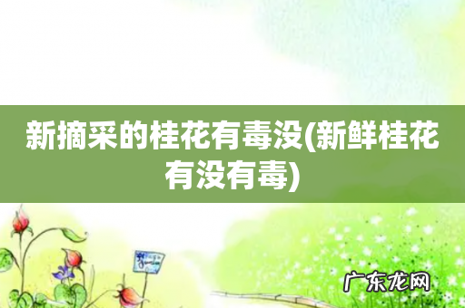 新鲜桂花有没有毒 新摘采的桂花有毒没