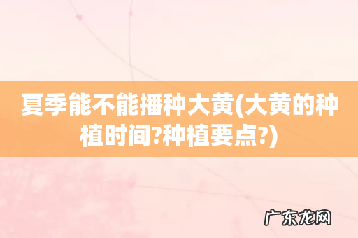 大黄的种植时间?种植要点? 夏季能不能播种大黄