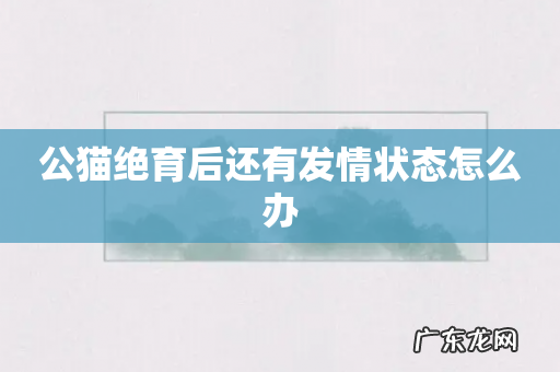 公猫绝育后还有发情状态怎么办