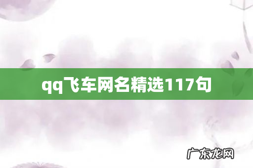qq飞车网名精选117句