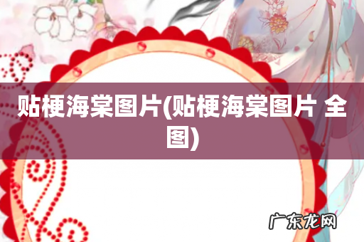 贴梗海棠图片 全图 贴梗海棠图片